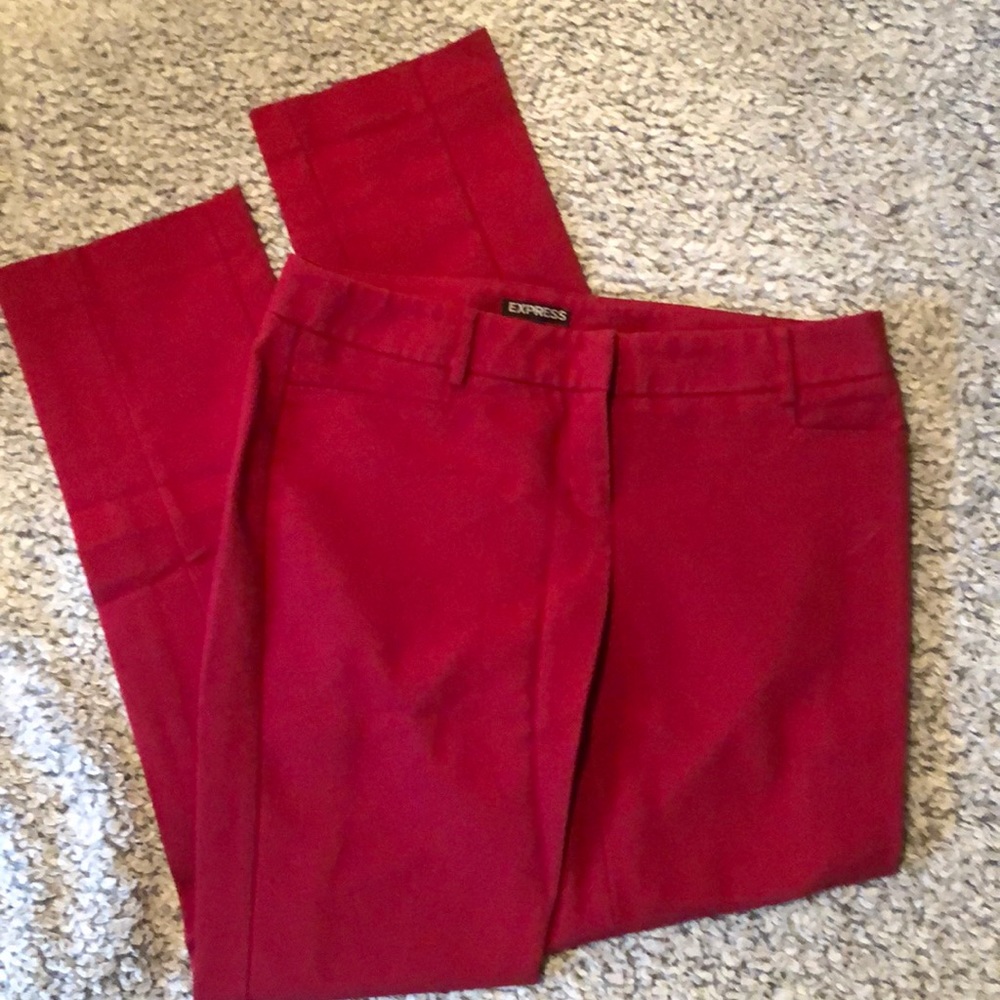 Express Columnist Dress Pants